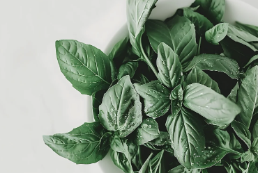 시금치무침 레시피