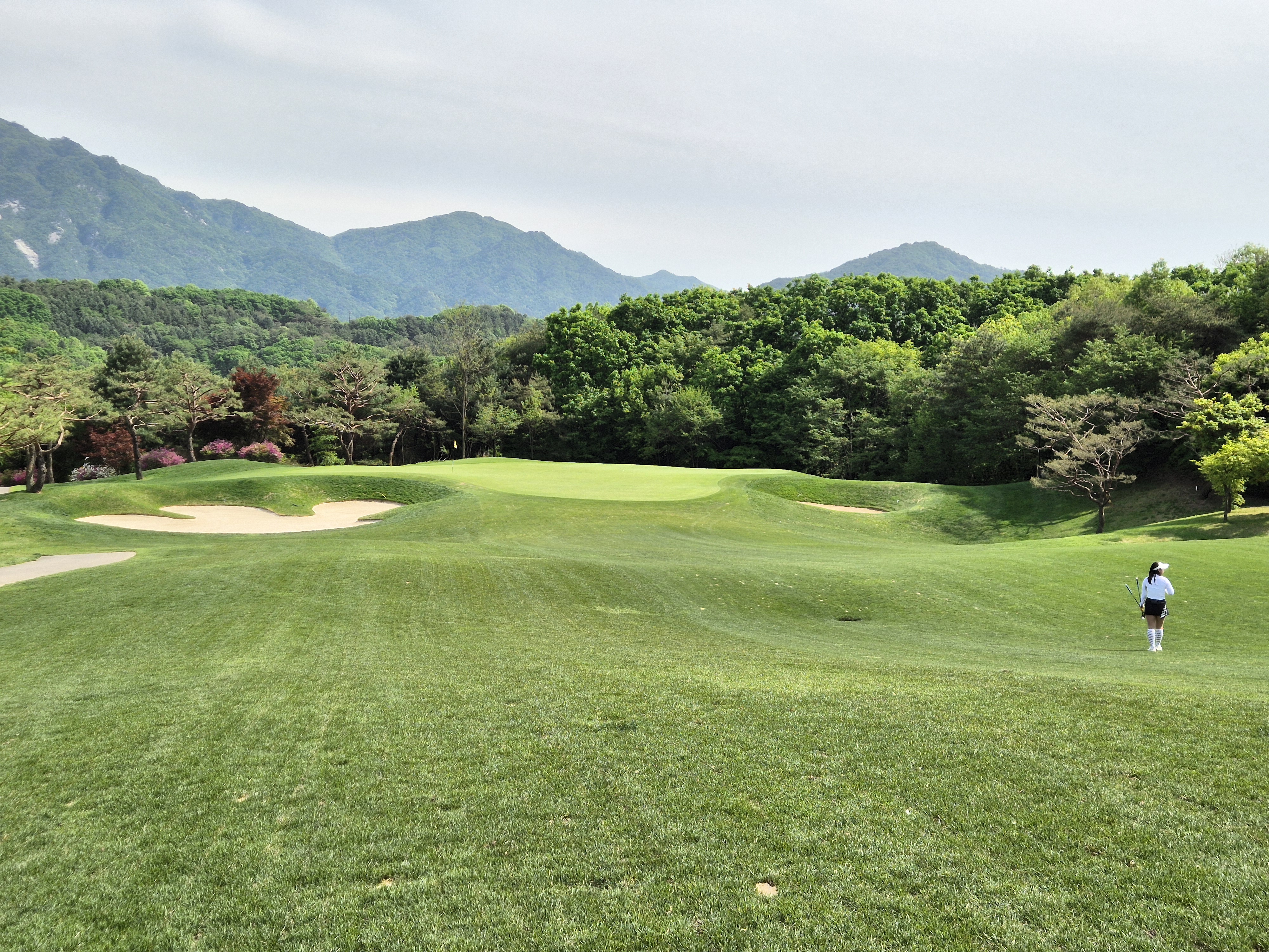 베어크리크cc 크리크코스