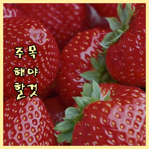 이마트 상품권 150만원 혜택! 놓치..