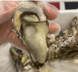 무한리필-굴찜3 