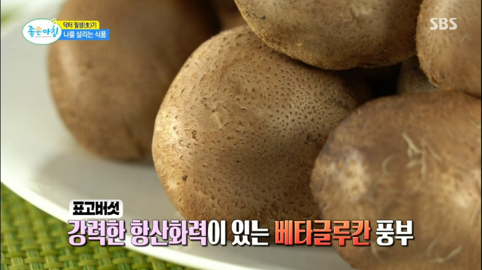 대장 건강 생식 식이섬유 효소 영양소