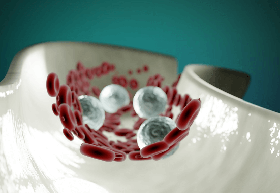 심혈관 건강 개선