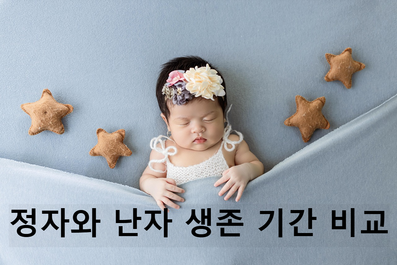 정자와 난자 생존 기간