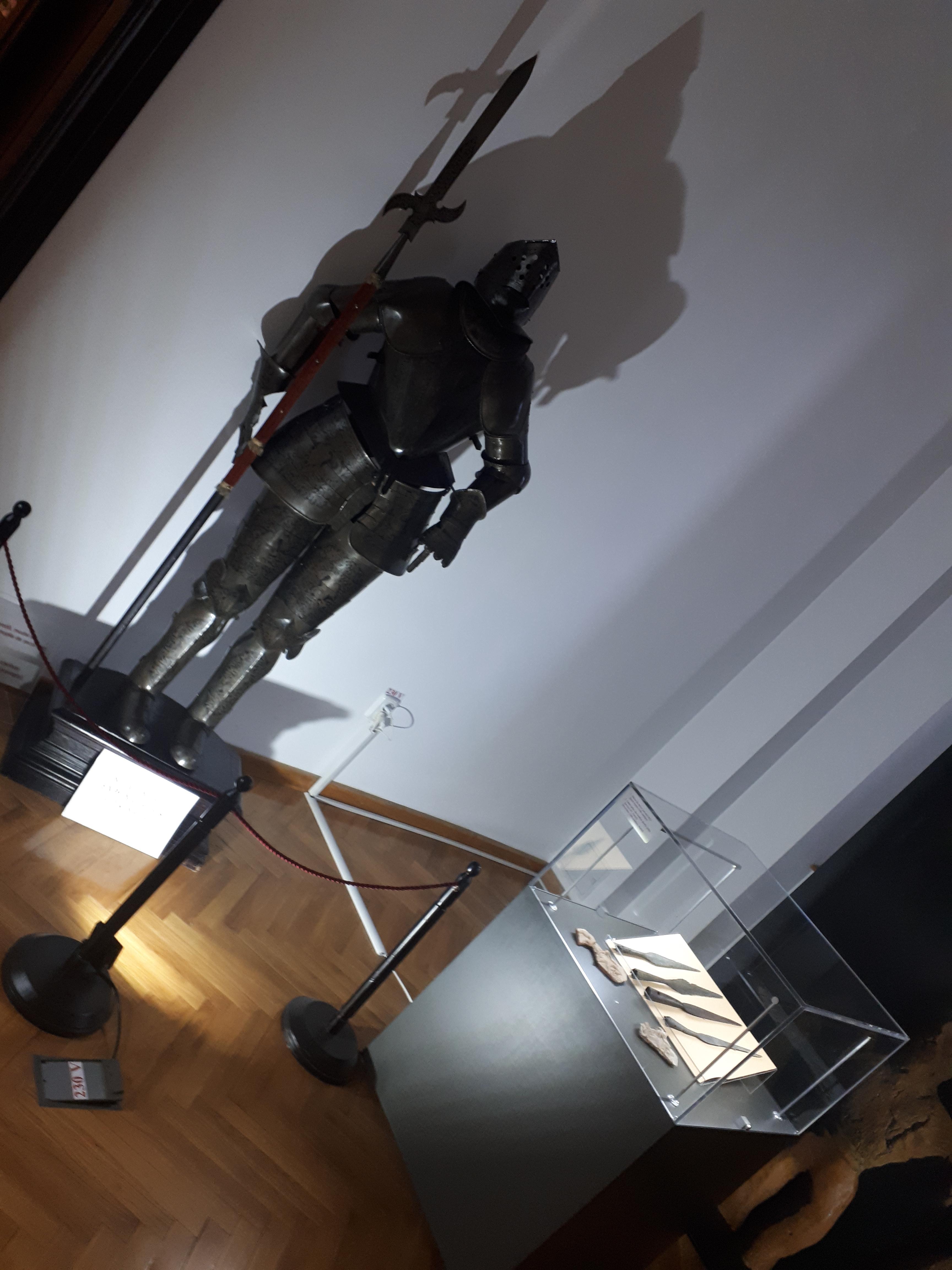 루마니아 이아시 박물관