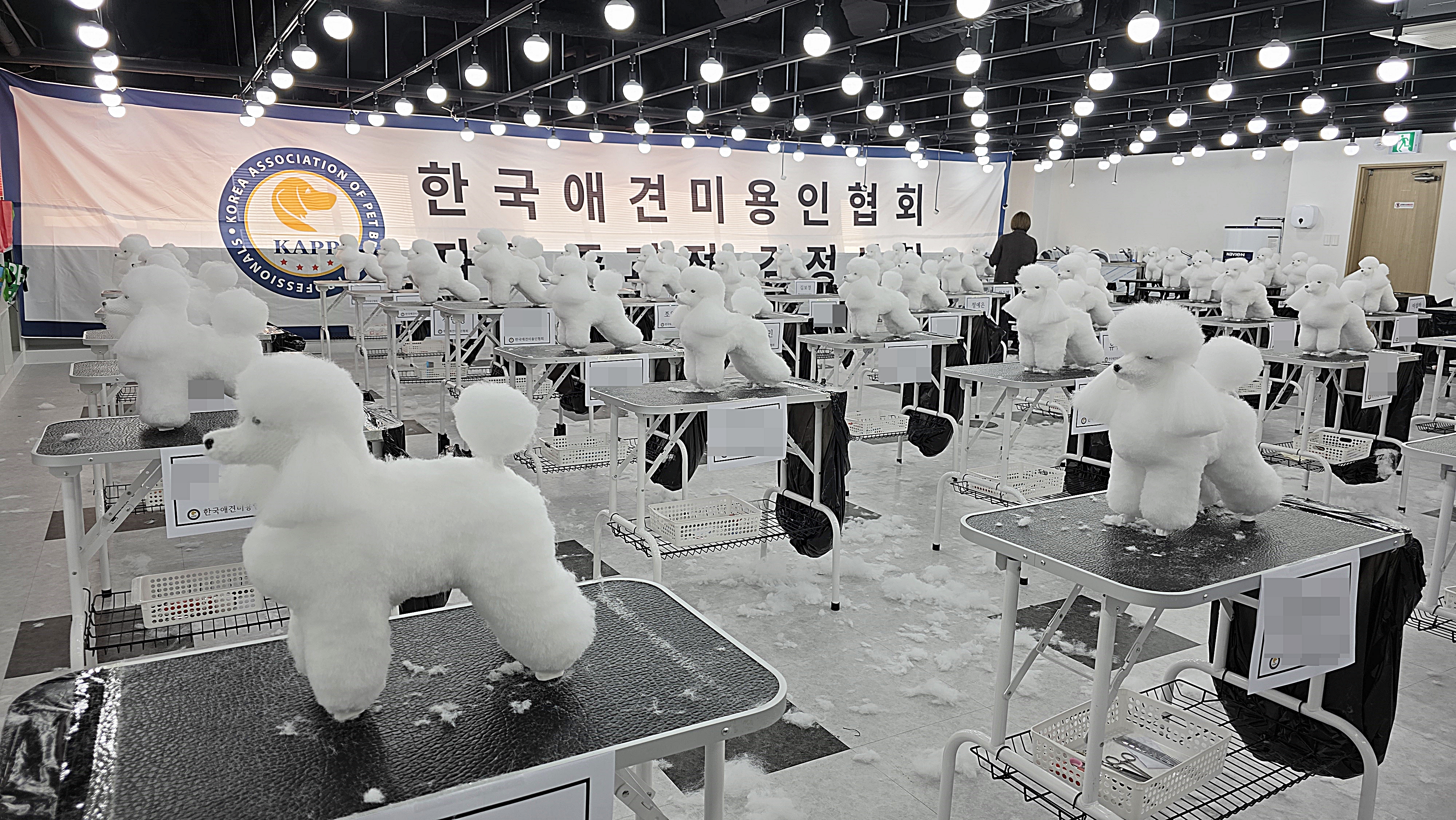 애견미용자격증시험