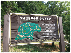 황금산
