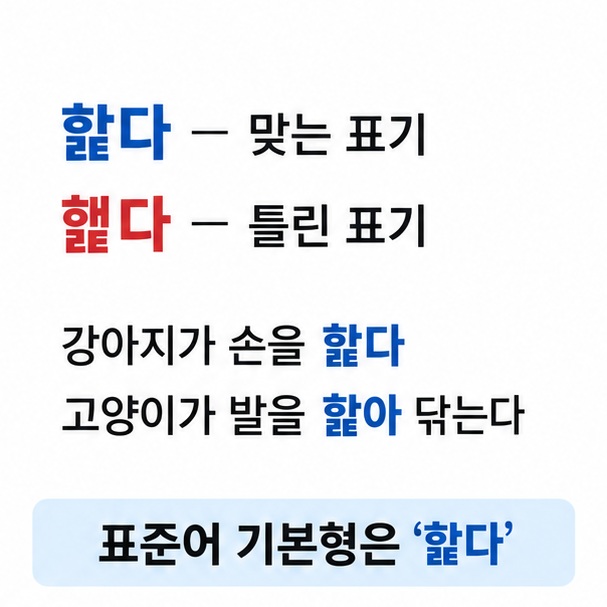 핥다가 표준어이고 햝다는 틀린 표기이며 강아지가 손을 핥다 같은 예문을 비교한 이미지