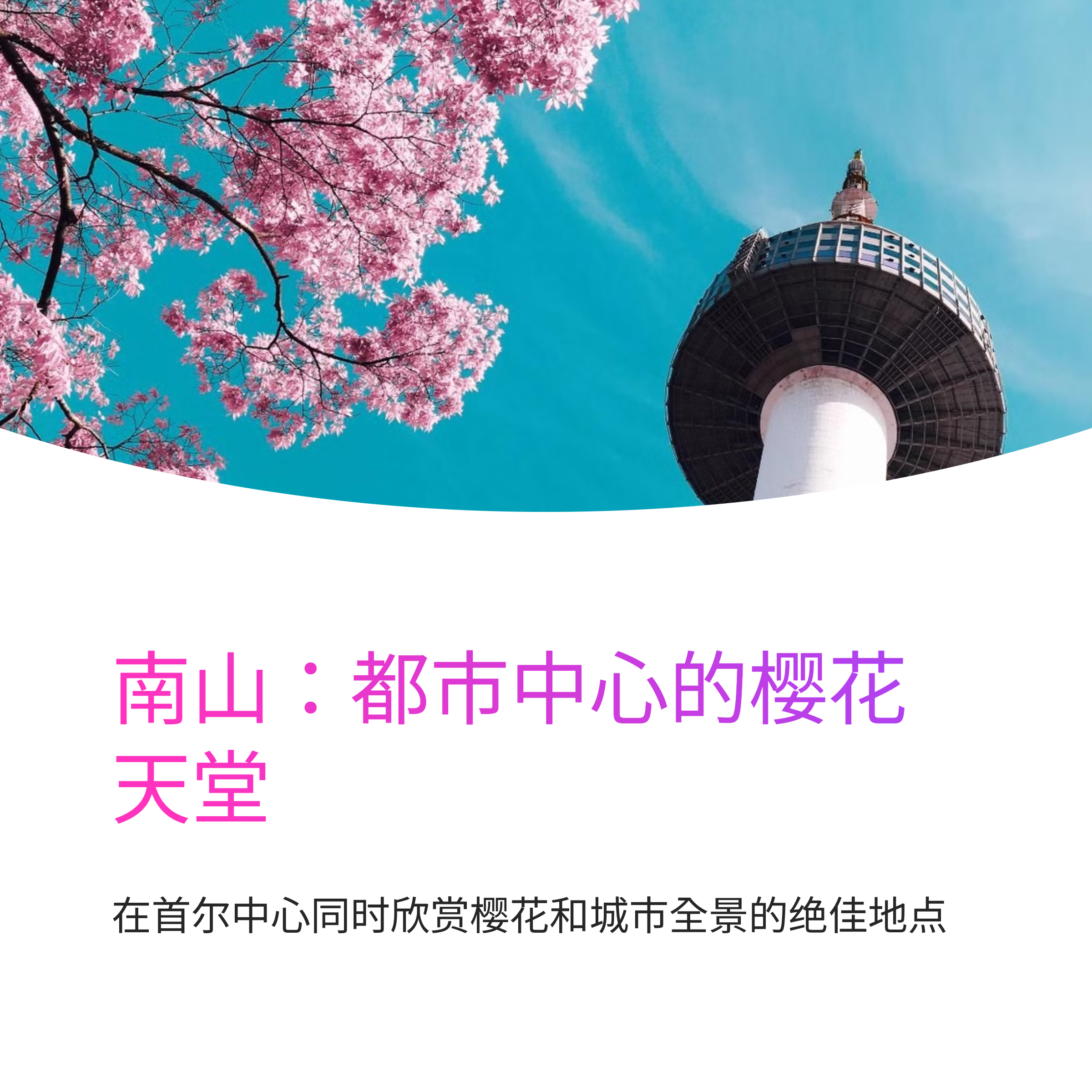 2025年首尔赏樱花胜地TOP 10完全指南 - 从网红打卡地到隐秘景点