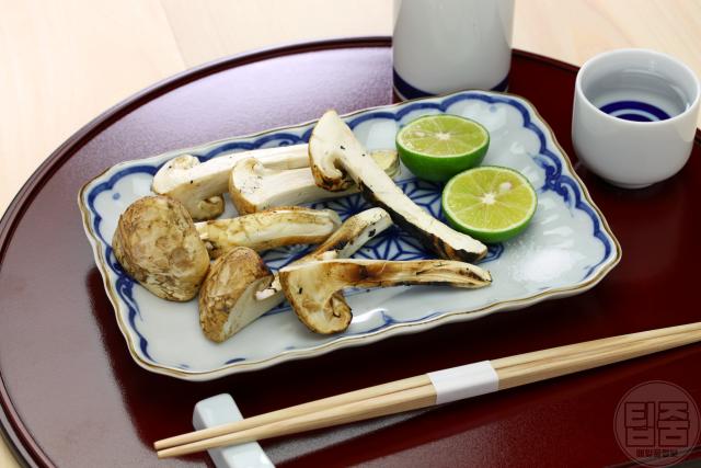 송이버섯 먹는법 손질 세척 씻는법 효능,팁줌