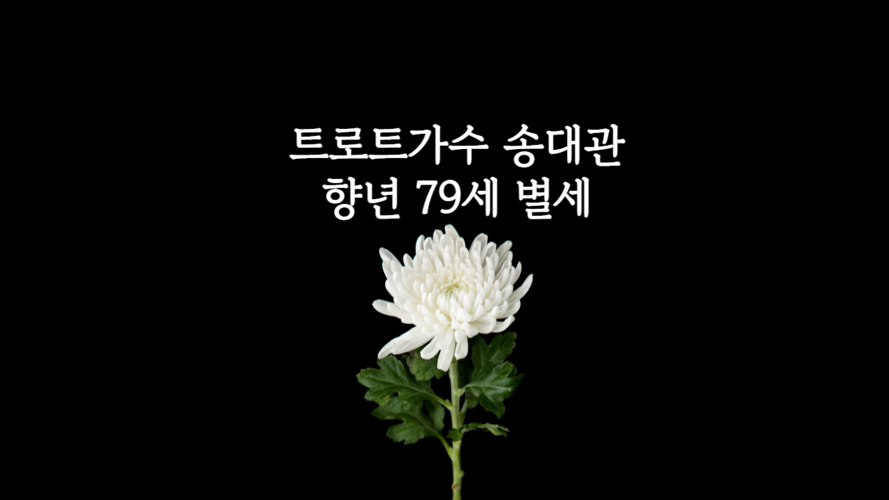 트로트가수 송대관별세