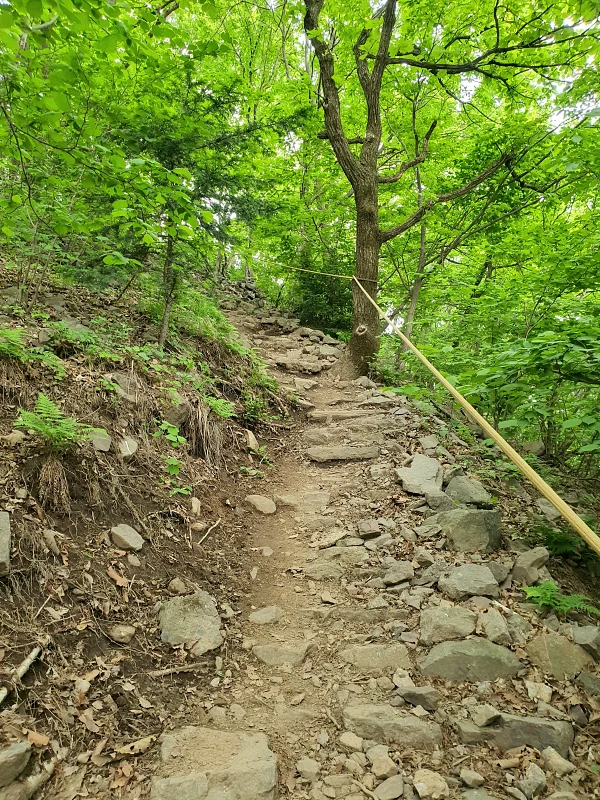 비포장 등산로