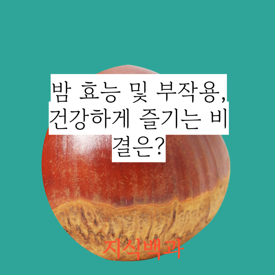 밤 효능 및 부작용, 건강하게 즐기는 비결은?