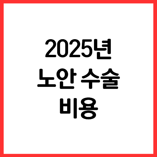 2025년-노안-수술-비용