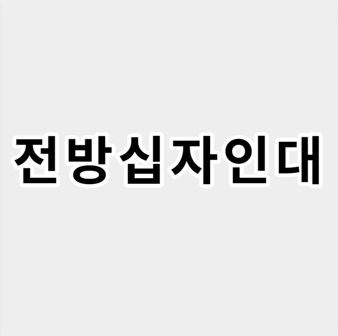 전방십자인대