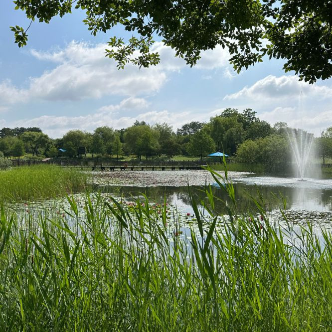 대전 여름휴가지 추천