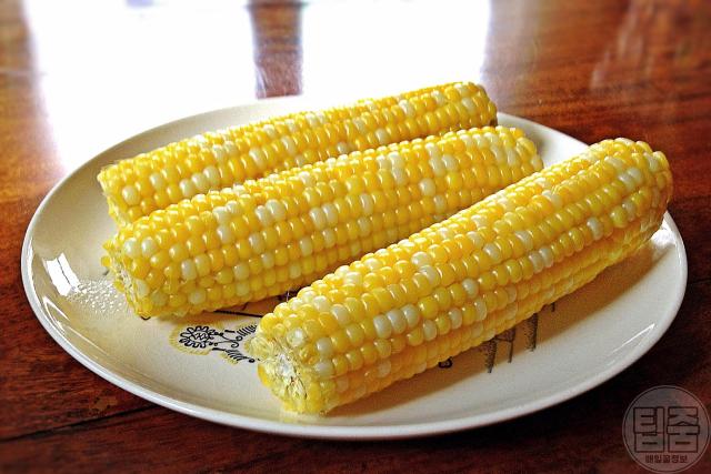 초당 옥수수 보관법,옥수수 검은색 검은점,팁줌