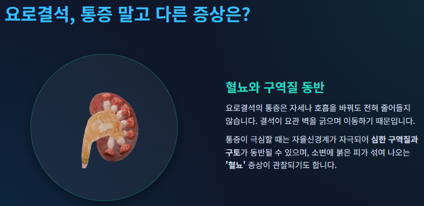 왼쪽 옆구리 통증 의심되는병