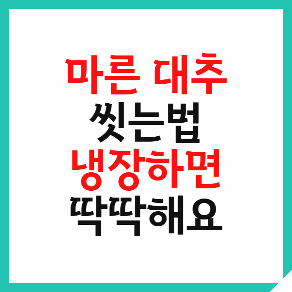 마른 대추 씻는법과 건대추 보관방법