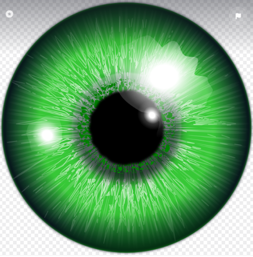 녹내장 관련 사진