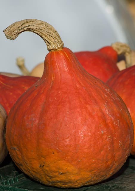 나만의 작은 시골 집: 전원생활을 준비하는 여정