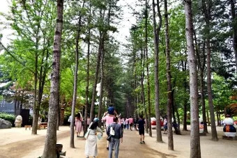 가평 남이섬 근처 관광지 가볼만한곳 안내집_23