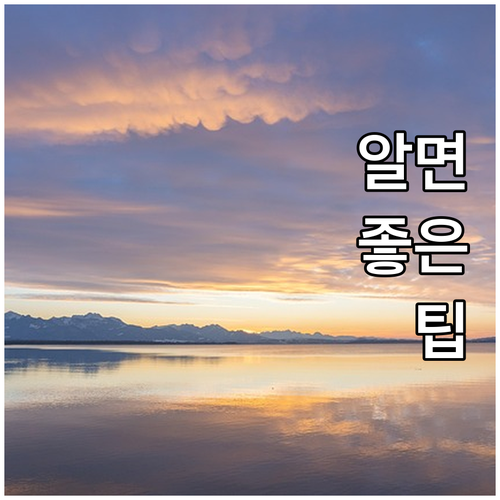 예천군 임신부 2025 기형아 검사 ..