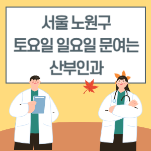 서울 노원구 토요일 일요일 산부인과 진료 병원 리스트