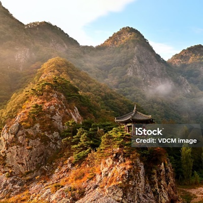 전 세계 토양 유형 5가지와 특성 비교