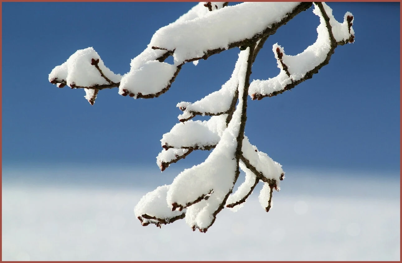 정기예금 이율높은곳