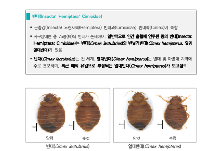 ktx 빈대
