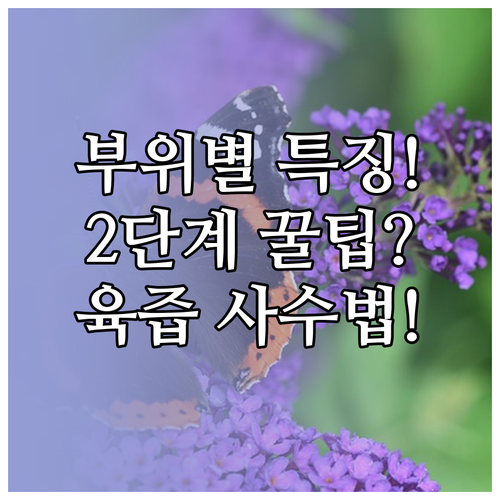 양지 사태 수육 부위별 특징, 2단계..