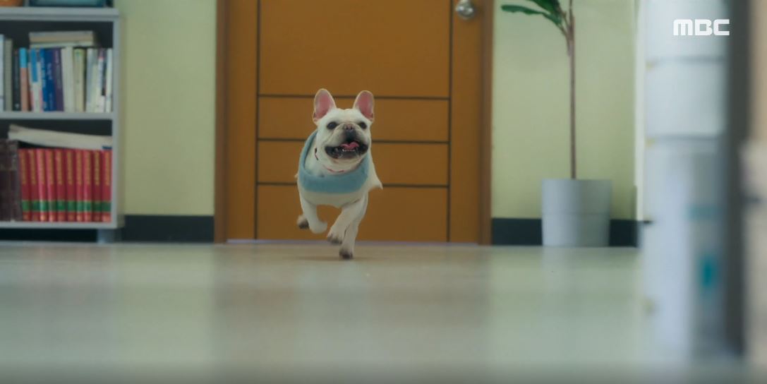 오늘도사랑스럽개_3회