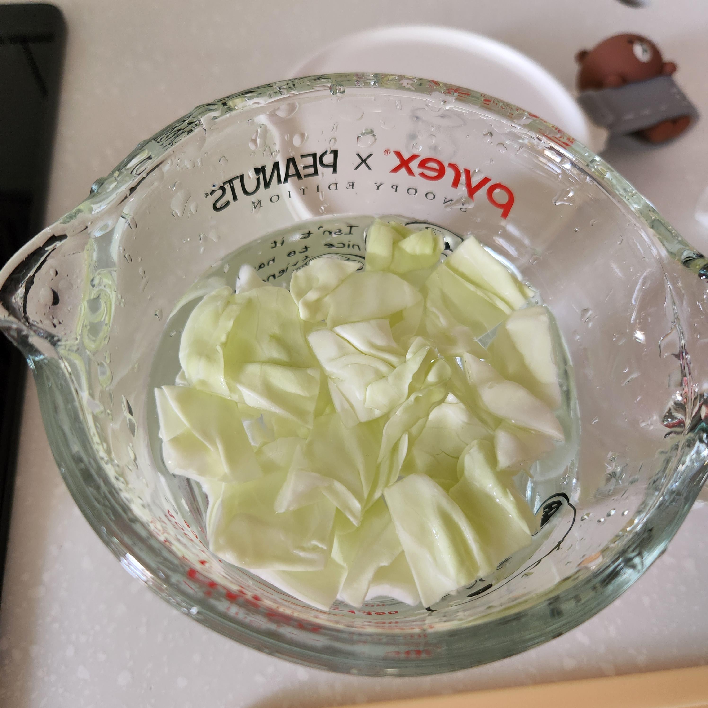 초기이유식재료 양배추