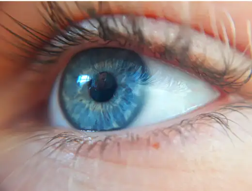 눈떨림 증상과 원인&amp;#44; 눈떨림 영양제 추천