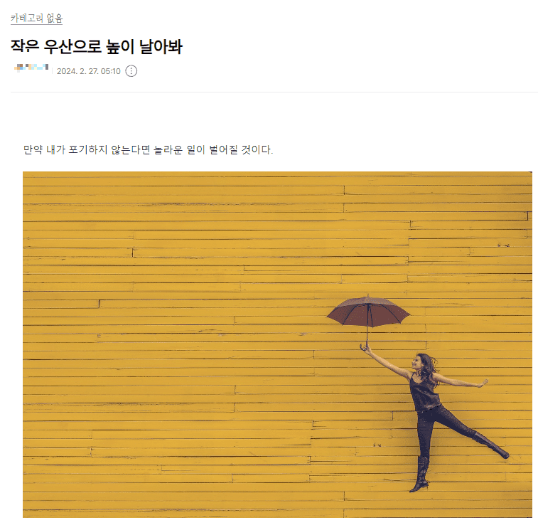 그림 한개 글자수 20자 내외