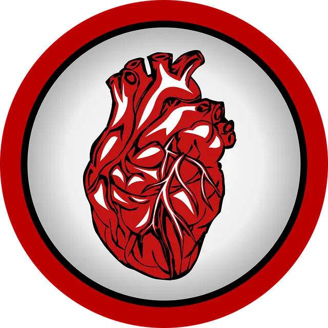 심장의 정상 구조와 심장 질환의 종류 및 선천성 심장 질환