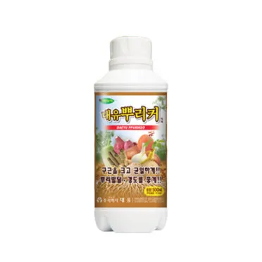 액비 희석비율 주기맞추기 잎색개선 안전한 급수 방법_4