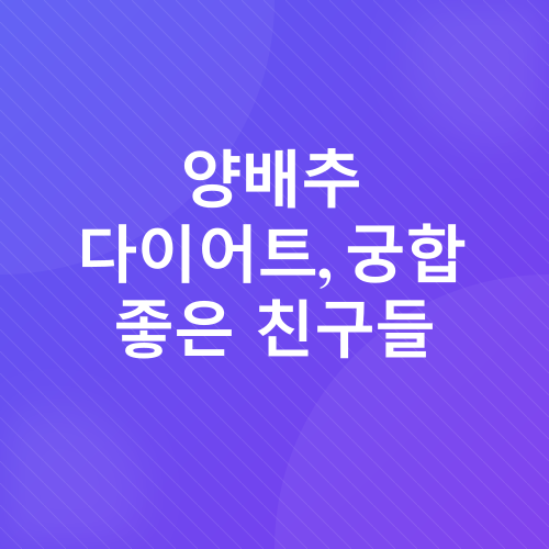 양배추 다이어트_2