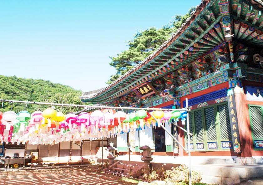 제천시 경제활력지원금 20만원 신청방법