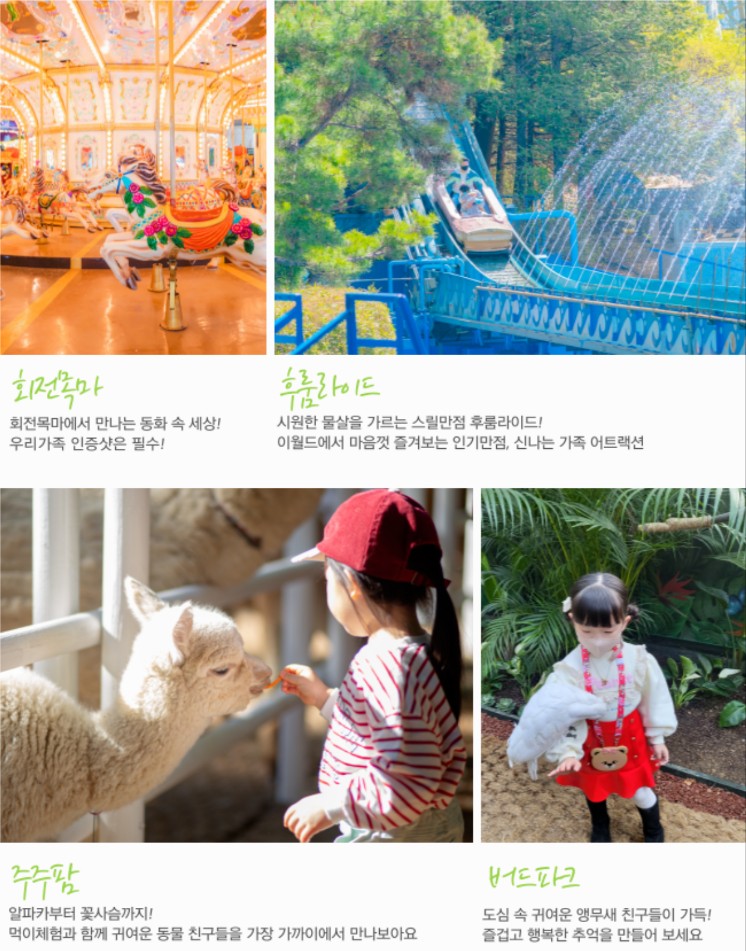 아이들과 함께하는 이월드 체험