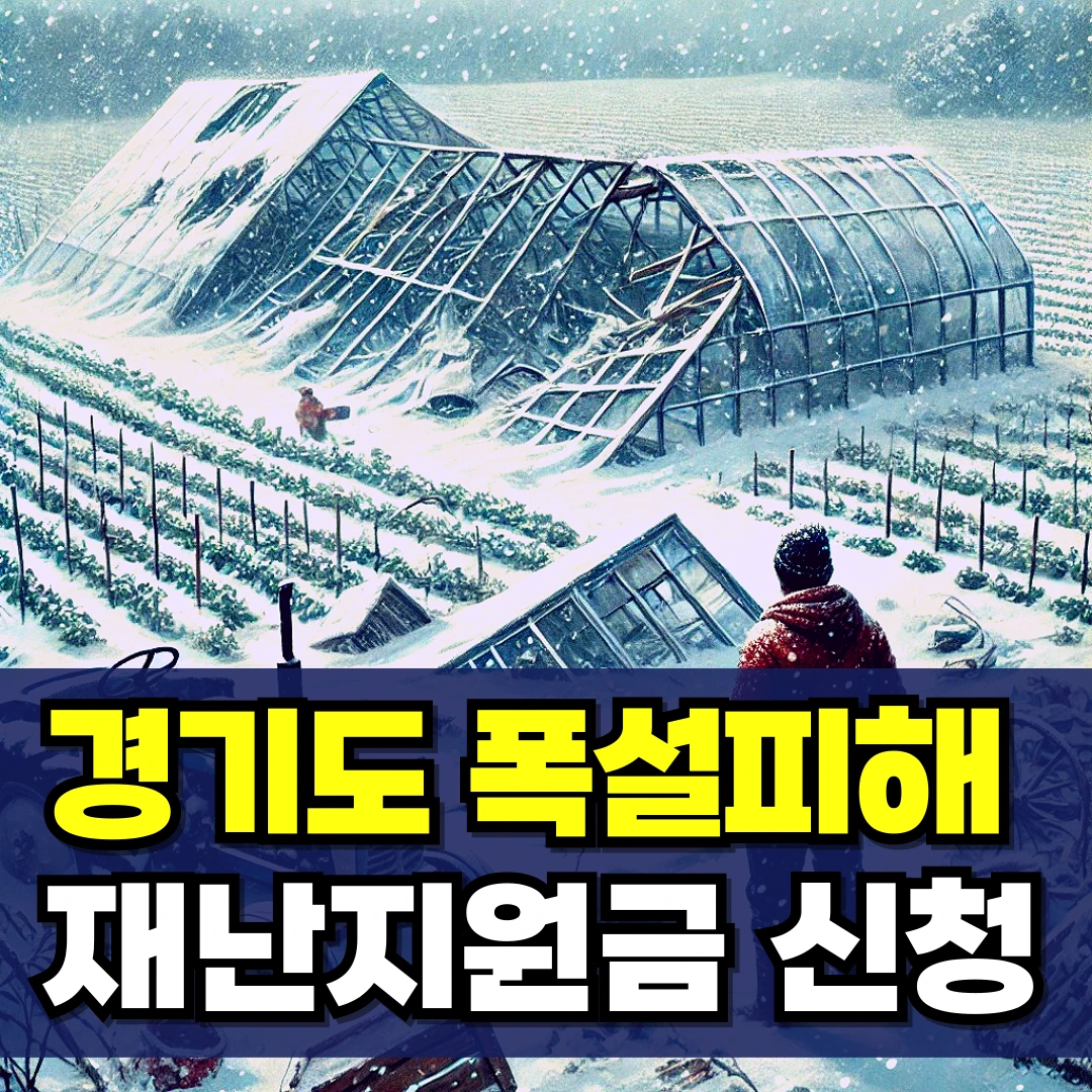 경기도-폭설-피해-재난지원금-대상자-확인