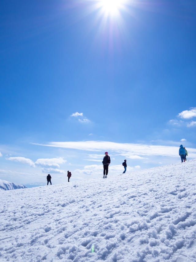경기도어린이박물관 예약 주말 성공 꿀팁