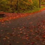 가을 단풍 구경 BEST 5 &mdash; 2025년 놓치면 아쉬울 국내 명소