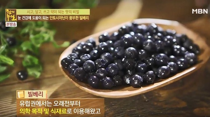 [빌베리] 효능&먹는법&총정리