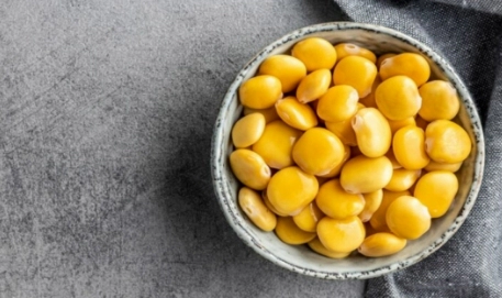 루피니빈 자주 묻는 질문과 답변