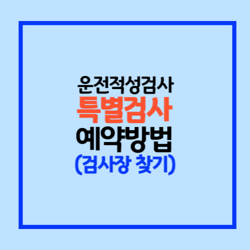 운전정밀검사 특별검사 예약
