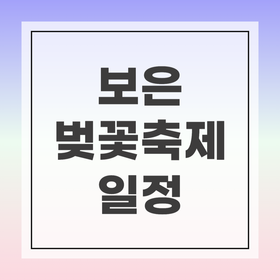 보은 벚꽃길 축제