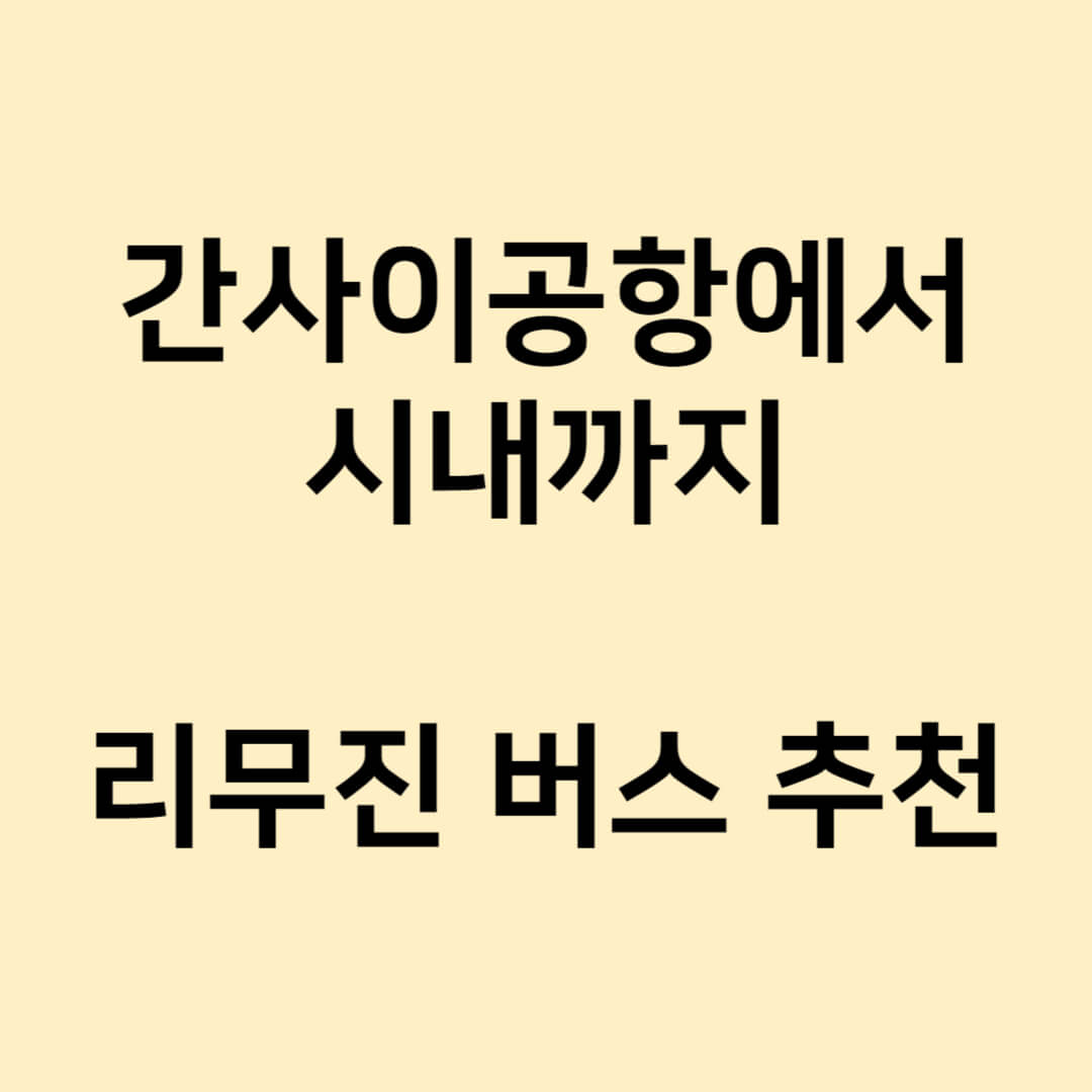 리무진 버스 추천