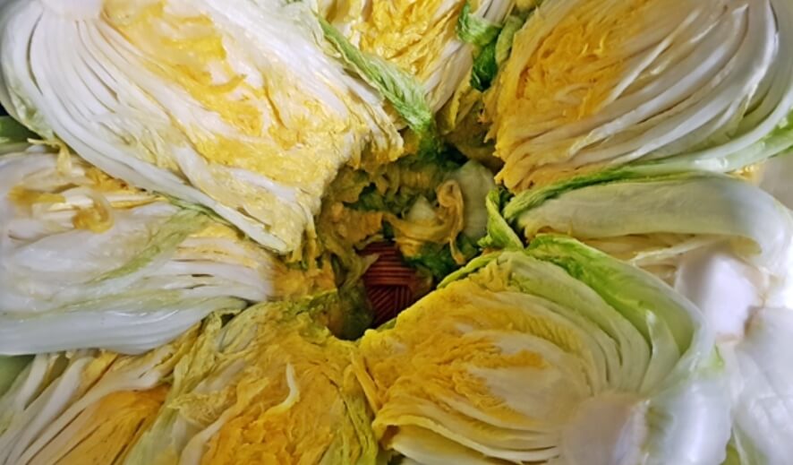 절임배추 20kg 가격