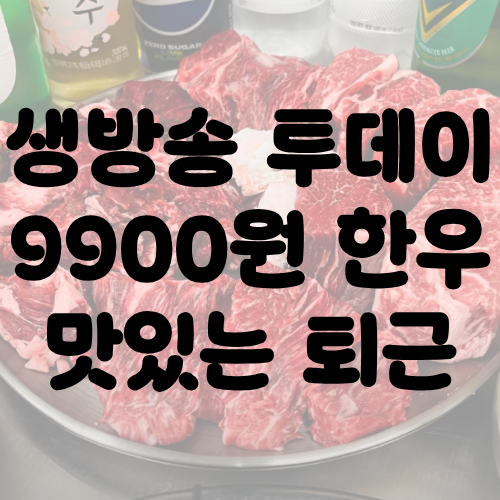 생방송 투데이 9900원 한우 맛있는 퇴근
